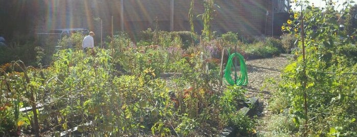 Schreiber Park is one of Community Gardens in the Parks!.