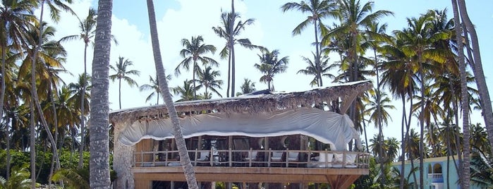 Jellyfish Beach Restaurant is one of Bávaro & Punta Cana.