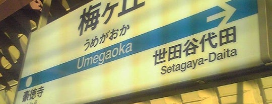 Umegaoka Station (OH09) is one of 小田急小田原線.