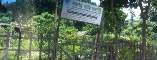 Khamar BARI nurcery is one of Tempat yang Disukai Tawseef.