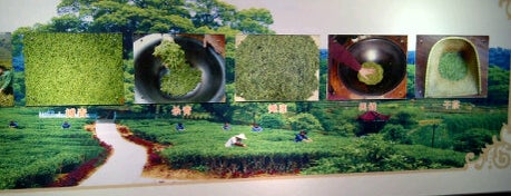 Long Jing Tea Plantation is one of Hangzhou (杭州).