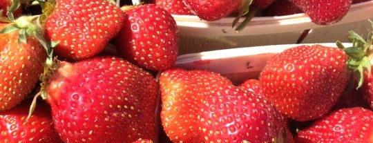 Mandigo Strawberries is one of สถานที่ที่ David ถูกใจ.