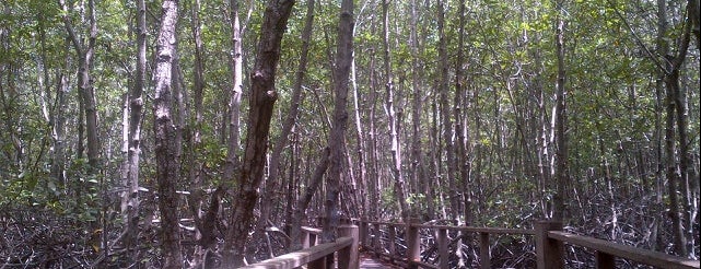 Pranburi National Forest Park is one of hua hin.
