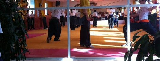 TSKF - Templo Shaolin de Kung Fu is one of Academias da TSKF.