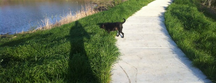 Sandy Brook Dog Walk is one of Austin Dog's Best Friend Badge.