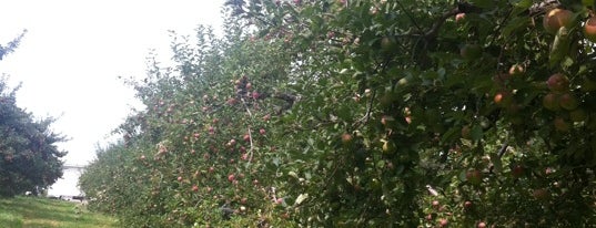 Goold Orchards is one of Dino'nun Beğendiği Mekanlar.