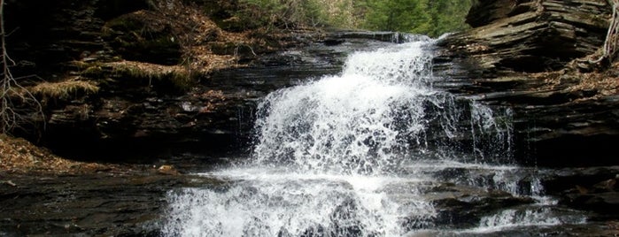 Ricketts Glen State Park is one of Whitewater Kayaking, Great Outdoors and Outfitters.