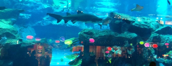 Dubai Aquarium is one of Top 10 places to try this season.