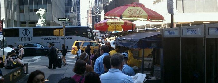 The Halal Guys is one of NYC.