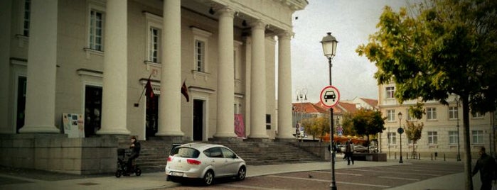 Town Hall Square is one of Vilnius Badge | #4sqCities.