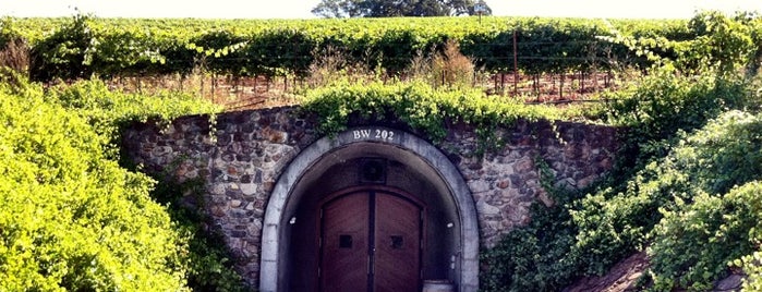 Kunde Family Estate is one of Napa Valley.