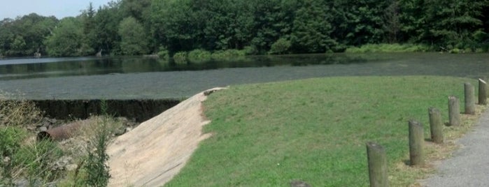 Craigs Pond (DNREC) is one of Lugares favoritos de Kelly.