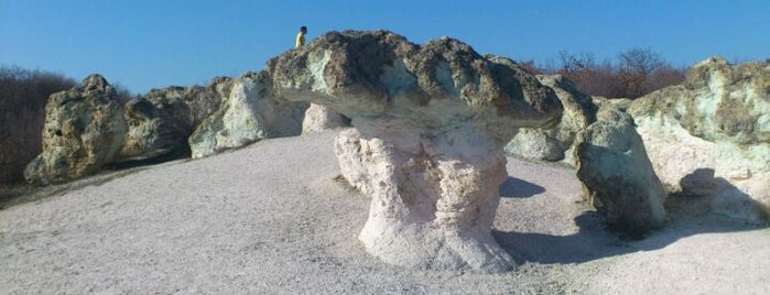 Каменните гъби is one of สถานที่ที่บันทึกไว้ของ Konstantinos M..