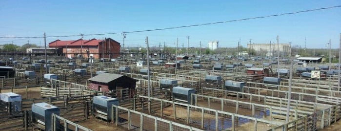 Oklahoma National Stockyards is one of Places To See - Oklahoma.