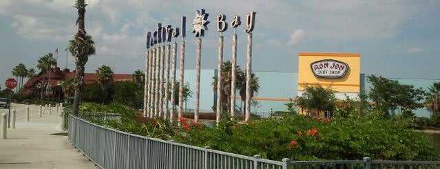 Festival Bay is one of Florida.