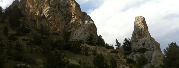 Custer National Forest is one of National Recreation Areas.