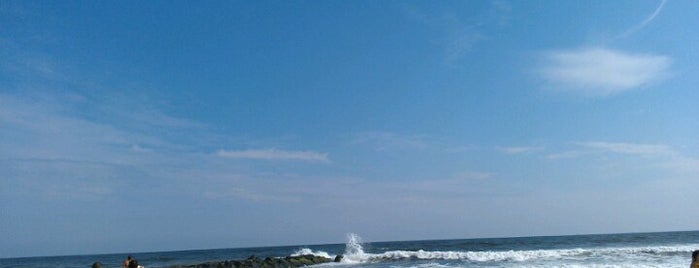 Ocean Beach Park is one of Tempat yang Disukai Taisiia.