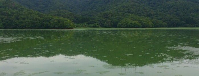 大山下池 is one of ラムサール条約登録湿地(Ramsar Convention Wetland in Japan).