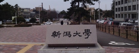 新潟大学 is one of University.