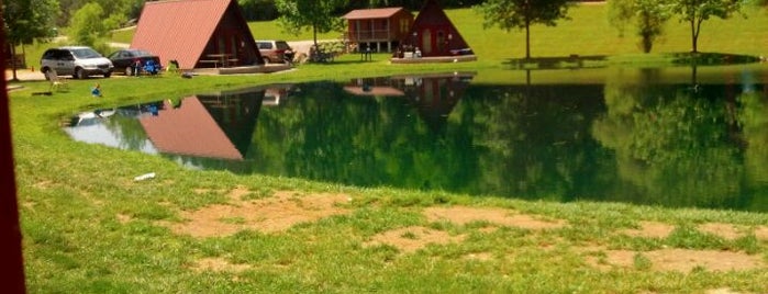 Mohican Adventures Canoe, Camp, Cabins & Fun Center is one of Lieux qui ont plu à Le Ricain en Ohio.
