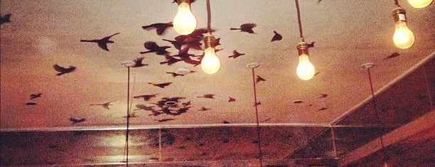 Bloodhound is one of Bars: San Francisco Faves.
