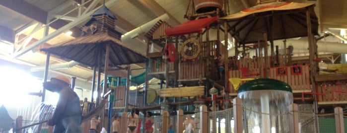 Great Wolf Lodge is one of Hotels.