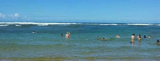 Piscinas Naturais de Papa-Gente - Praia do Forte is one of Victor : понравившиеся места.