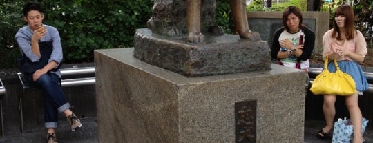 Hachiko Statue is one of Tokyo Visit.