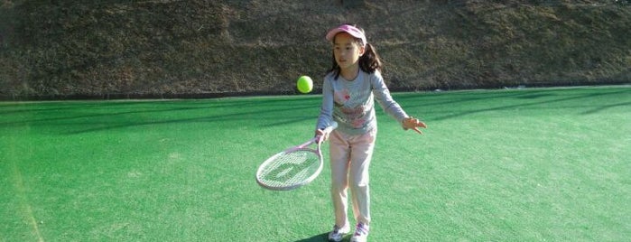 世田谷公園 テニスコート is one of Tennis Courts in and around Tokyo.