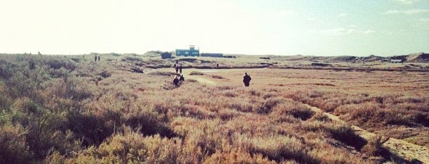 Blakeney Point is one of 36 Hours in... North Norfolk.