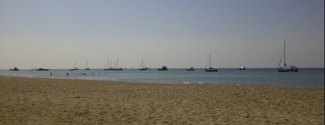Hanlan's Point Beach is one of สถานที่ที่ Sebastián ถูกใจ.
