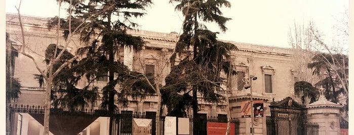 Museo Arqueológico Nacional (MAN) is one of Teatros, museos, deportes y algo más.