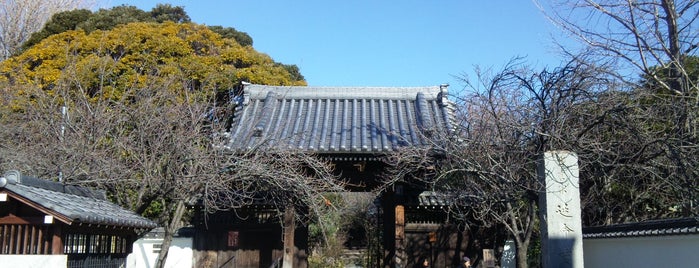 延命寺 is one of 玉川八十八ヶ所霊場.