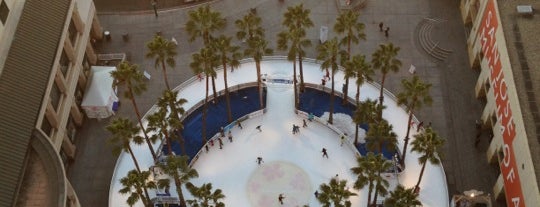 Downtown Ice is one of San Jose, CA yeah we're pretty awesome! #visitUS.