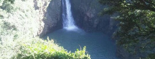 数鹿流ヶ滝 is one of Waterfalls in Japan.