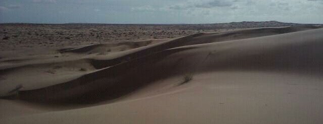 Dunas El Pinacate is one of Ale’s Liked Places.