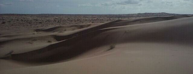 Dunas El Pinacate is one of Orte, die Ale gefallen.