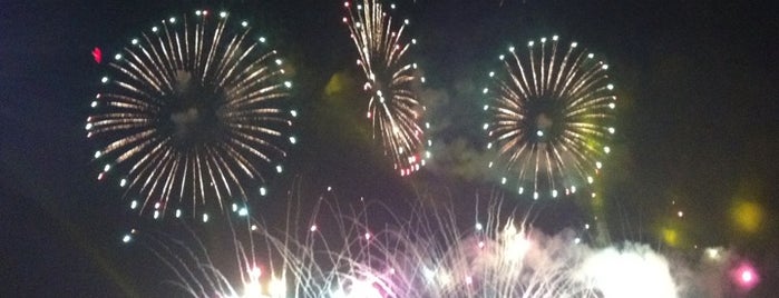 Seoul International Fireworks Festival 2011 is one of Korea Swarm Venue.