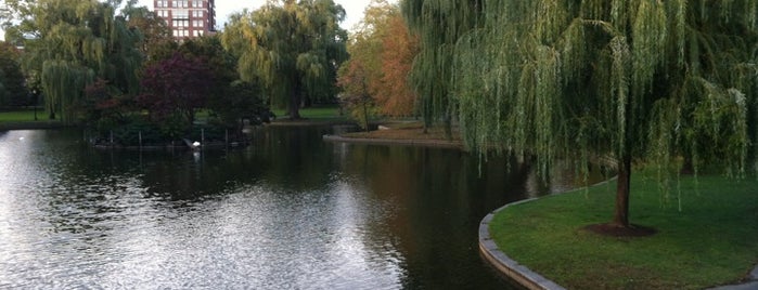 Boston Public Garden is one of Must-visit in Boston.