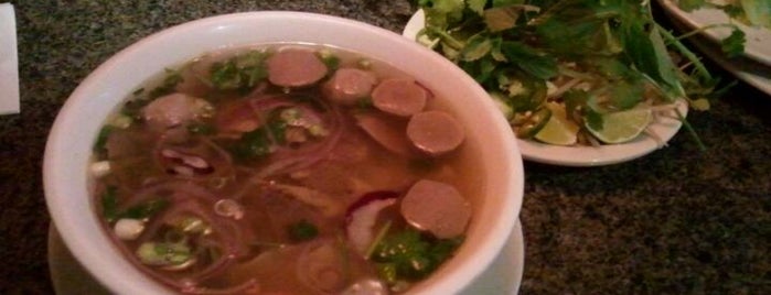 Hollywood Vietnamese & Chinese Cuisine is one of Pho | Noodle Houses Houston.