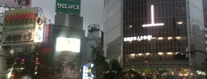Shibuya Station is one of Recommended Real venues to visit Worldwide.