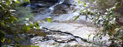 Leura Cascades is one of สถานที่ที่ MAC ถูกใจ.