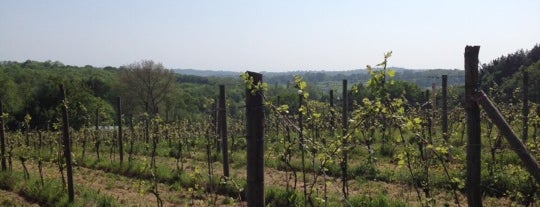 Sedlescombe Vineyard is one of Potential plans.