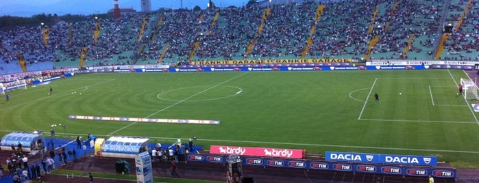 Dacia Arena is one of Stadi Serie A.
