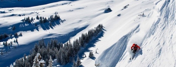 Snowmass Mountain is one of Ski Areas.