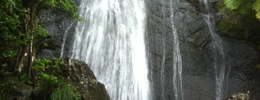 La Coca Falls is one of The Done List.