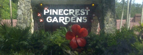 Pinecrest Gardens is one of Daytime Weekend Activities.