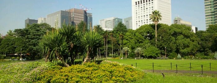 Hibiya Park is one of Tokyo as a local.