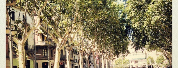 Rambla de Figueres is one of jordi'nin Beğendiği Mekanlar.