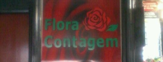 Flora Contagem is one of lugares.